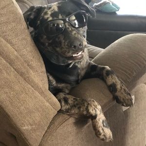 Meet your Posher, Elizabeth